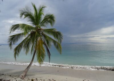 Am Strand im Nationalpark Cahuita in Costa Rica wo der Himmel das Meer berührt.
