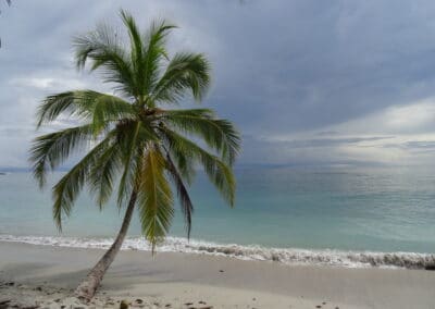 On the beach in Cahuita National Park in Costa Rica where the sky touches the sea.